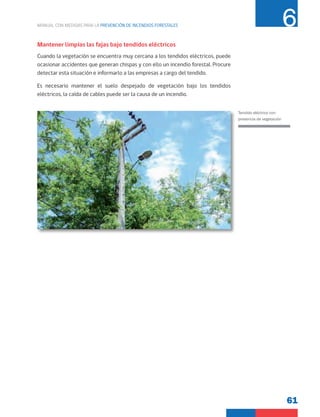 61
MANUAL CON MEDIDAS PARA LA PREVENCIÓN DE INCENDIOS FORESTALES 6
Tendido eléctrico con
presencia de vegetación
Mantener limpias las fajas bajo tendidos eléctricos
Cuando la vegetación se encuentra muy cercana a los tendidos eléctricos, puede
ocasionar accidentes que generan chispas y con ello un incendio forestal. Procure
detectar esta situación e informarlo a las empresas a cargo del tendido.
Es necesario mantener el suelo despejado de vegetación bajo los tendidos
eléctricos, la caída de cables puede ser la causa de un incendio.
 