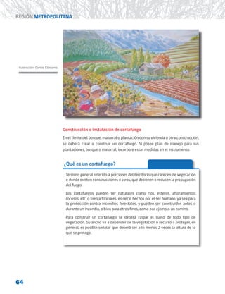 64
REGIÓN METROPOLITANA
Ilustración: Carlos Cárcamo
Construcción o instalación de cortafuego
En el límite del bosque, matorral o plantación con su vivienda u otra construcción,
se deberá crear o construir un cortafuego. Si posee plan de manejo para sus
plantaciones, bosque o matorral, incorpore estas medidas en el instrumento.
¿Qué es un cortafuego?
Término general referido a porciones del territorio que carecen de vegetación
o donde existen construcciones u otros, que detienen o reducen la propagación
del fuego.
Los cortafuegos pueden ser naturales como ríos, esteros, afloramientos
rocosos, etc. o bien artificiales, es decir, hechos por el ser humano, ya sea para
la protección contra incendios forestales, y pueden ser construidos antes o
durante un incendio, o bien para otros fines, como por ejemplo un camino.
Para construir un cortafuego se deberá raspar el suelo de todo tipo de
vegetación. Su ancho va a depender de la vegetación o recurso a proteger, en
general, es posible señalar que deberá ser a lo menos 2 veces la altura de lo
que se protege.
 