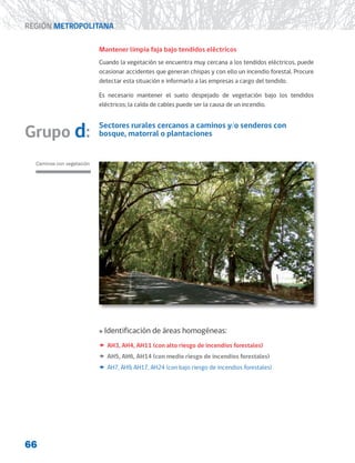 66
REGIÓN METROPOLITANA
Mantener limpia faja bajo tendidos eléctricos
Cuando la vegetación se encuentra muy cercana a los tendidos eléctricos, puede
ocasionar accidentes que generan chispas y con ello un incendio forestal. Procure
detectar esta situación e informarlo a las empresas a cargo del tendido.
Es necesario mantener el suelo despejado de vegetación bajo los tendidos
eléctricos; la caída de cables puede ser la causa de un incendio.
Grupo d:
Caminos con vegetación
Sectores rurales cercanos a caminos y/o senderos con
bosque, matorral o plantaciones
»
» Identificación de áreas homogéneas:
x
x AH3, AH4, AH11 (con alto riesgo de incendios forestales)
x
x AH5, AH6, AH14 (con medio riesgo de incendios forestales)
x
x AH7, AH9, AH17, AH24 (con bajo riesgo de incendios forestales)
 
