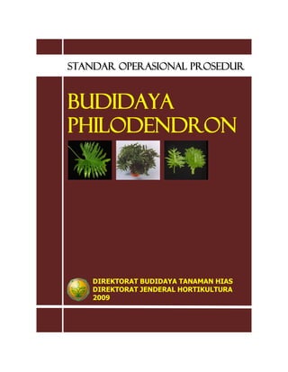 STANDAR OPERASIONAL PROSEDUR
BUDIDAYA
PHILODENDRON
DIREKTORAT BUDIDAYA TANAMAN HIAS
DIREKTORAT JENDERAL HORTIKULTURA
2009
 
