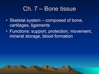 Ch. 7 – Bone tissue ,[object Object],[object Object]