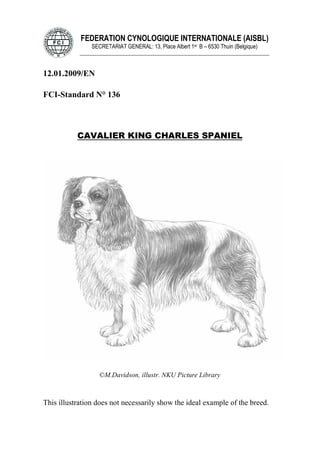 FEDERATION CYNOLOGIQUE INTERNATIONALE (AISBL)
SECRETARIAT GENERAL: 13, Place Albert 1er B – 6530 Thuin (Belgique)
______________________________________________________________________________
12.01.2009/EN
FCI-Standard N° 136
CAVALIER KING CHARLES SPANIEL
©M.Davidson, illustr. NKU Picture Library
This illustration does not necessarily show the ideal example of the breed.
 