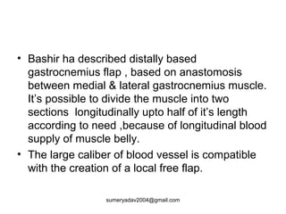• Bashir ha described distally based
gastrocnemius flap , based on anastomosis
between medial & lateral gastrocnemius muscle.
It’s possible to divide the muscle into two
sections longitudinally upto half of it’s length
according to need ,because of longitudinal blood
supply of muscle belly.
• The large caliber of blood vessel is compatible
with the creation of a local free flap.
sumeryadav2004@gmail.com
 