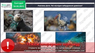 1 клас. НУШ. Я досліджую світ. Грущинська. Урок 137