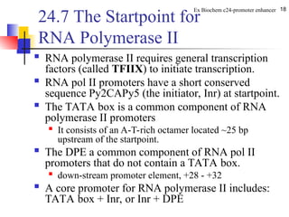 Comprehensive Overview of Eukaryotic Promoters and Enhancers in Gene ...