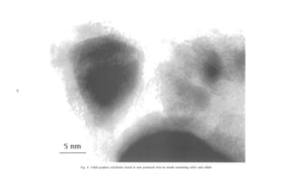 Fig. 4. Filled graphite polyhedra found in soot produced with an anode containing sulfur and cobalt.
 