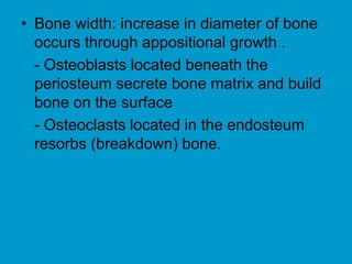 Bone Histology13732720 Bone Histology.ppt