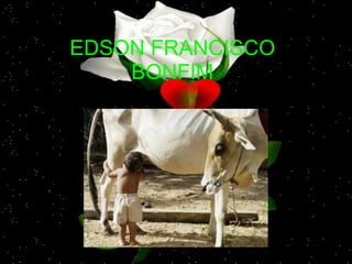 EDSON FRANCISCO
    BONFIM



  CAMPINAS SP BRASIL
 