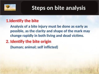 BITE MARKS IN FORENSIC ODONTOLOGY AND INVESTIGATIONS | PPT