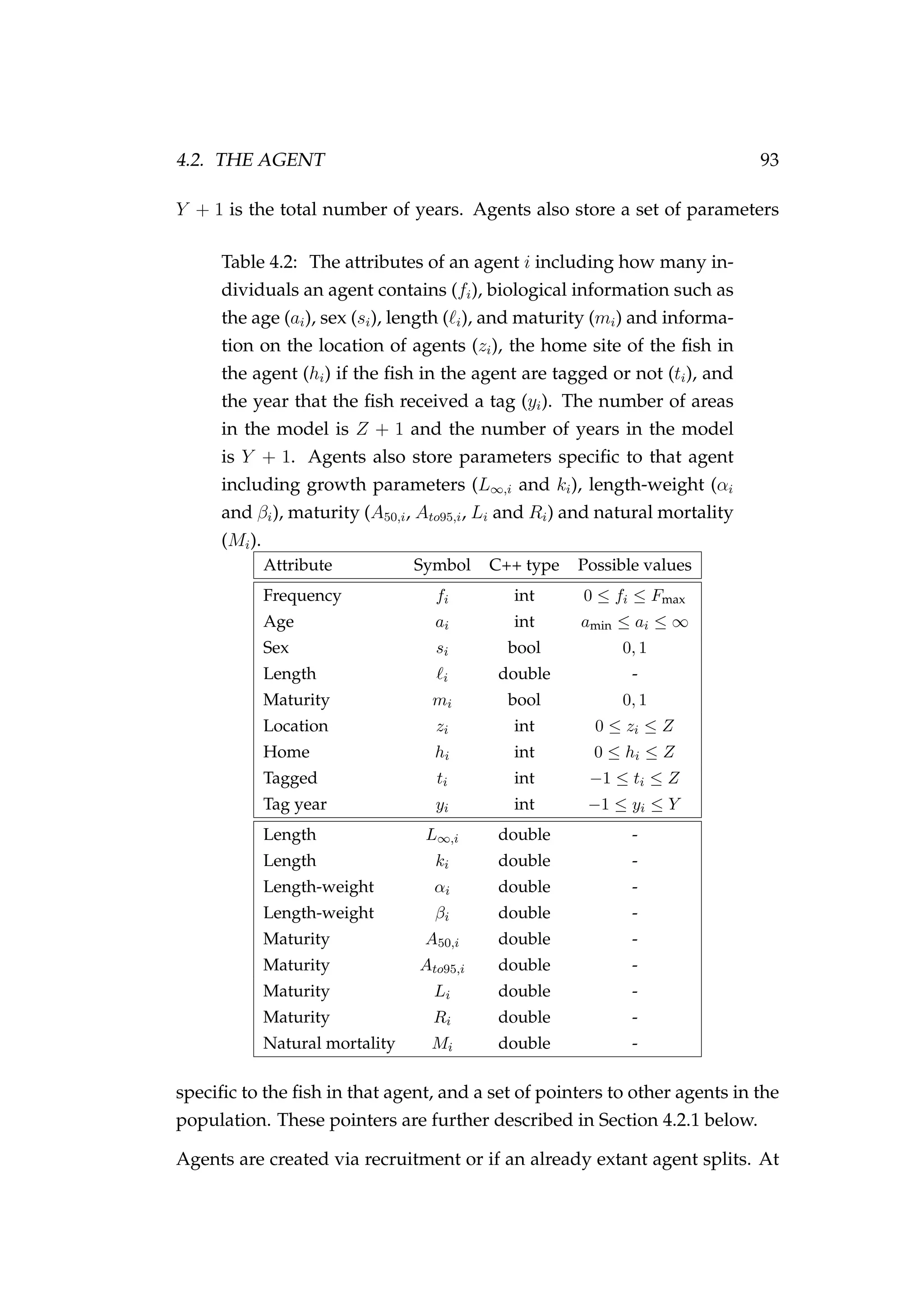 4.2. THE AGENT 93
Y + 1 is the total number of years. Agents also store a set of parameters
Table 4.2: The attributes of an agent i including how many in-
dividuals an agent contains (fi), biological information such as
the age (ai), sex (si), length ( i), and maturity (mi) and informa-
tion on the location of agents (zi), the home site of the ﬁsh in
the agent (hi) if the ﬁsh in the agent are tagged or not (ti), and
the year that the ﬁsh received a tag (yi). The number of areas
in the model is Z + 1 and the number of years in the model
is Y + 1. Agents also store parameters speciﬁc to that agent
including growth parameters (L∞,i and ki), length-weight (αi
and βi), maturity (A50,i, Ato95,i, Li and Ri) and natural mortality
(Mi).
Attribute Symbol C++ type Possible values
Frequency fi int 0 ≤ fi ≤ Fmax
Age ai int amin ≤ ai ≤ ∞
Sex si bool 0, 1
Length i double -
Maturity mi bool 0, 1
Location zi int 0 ≤ zi ≤ Z
Home hi int 0 ≤ hi ≤ Z
Tagged ti int −1 ≤ ti ≤ Z
Tag year yi int −1 ≤ yi ≤ Y
Length L∞,i double -
Length ki double -
Length-weight αi double -
Length-weight βi double -
Maturity A50,i double -
Maturity Ato95,i double -
Maturity Li double -
Maturity Ri double -
Natural mortality Mi double -
speciﬁc to the ﬁsh in that agent, and a set of pointers to other agents in the
population. These pointers are further described in Section 4.2.1 below.
Agents are created via recruitment or if an already extant agent splits. At
 