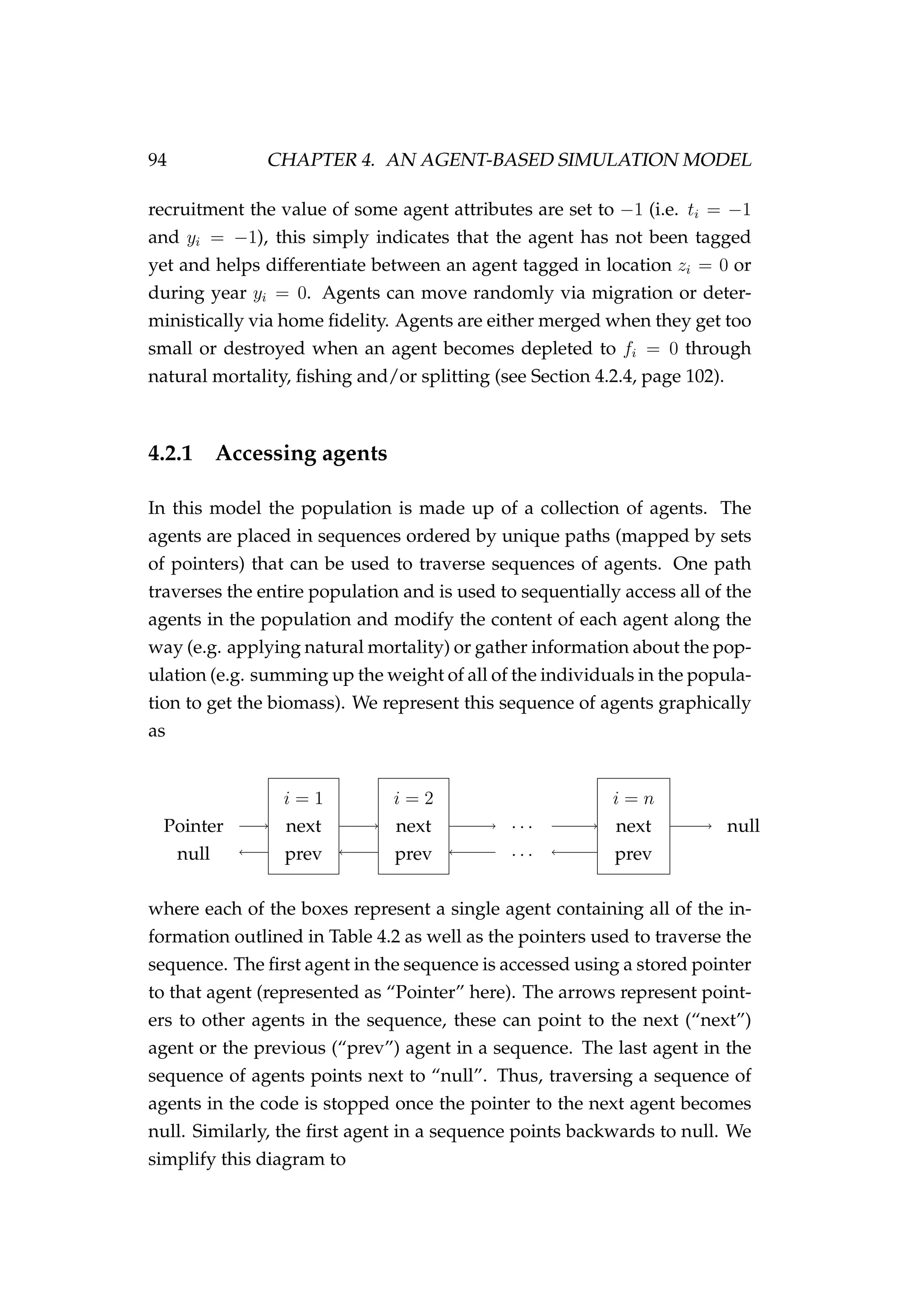 94 CHAPTER 4. AN AGENT-BASED SIMULATION MODEL
recruitment the value of some agent attributes are set to −1 (i.e. ti = −1
and yi = −1), this simply indicates that the agent has not been tagged
yet and helps differentiate between an agent tagged in location zi = 0 or
during year yi = 0. Agents can move randomly via migration or deter-
ministically via home ﬁdelity. Agents are either merged when they get too
small or destroyed when an agent becomes depleted to fi = 0 through
natural mortality, ﬁshing and/or splitting (see Section 4.2.4, page 102).
4.2.1 Accessing agents
In this model the population is made up of a collection of agents. The
agents are placed in sequences ordered by unique paths (mapped by sets
of pointers) that can be used to traverse sequences of agents. One path
traverses the entire population and is used to sequentially access all of the
agents in the population and modify the content of each agent along the
way (e.g. applying natural mortality) or gather information about the pop-
ulation (e.g. summing up the weight of all of the individuals in the popula-
tion to get the biomass). We represent this sequence of agents graphically
as
Pointer
null
i = 1
next
prev
i = 2
next
prev
· · ·
· · ·
i = n
next
prev
null
where each of the boxes represent a single agent containing all of the in-
formation outlined in Table 4.2 as well as the pointers used to traverse the
sequence. The ﬁrst agent in the sequence is accessed using a stored pointer
to that agent (represented as “Pointer” here). The arrows represent point-
ers to other agents in the sequence, these can point to the next (“next”)
agent or the previous (“prev”) agent in a sequence. The last agent in the
sequence of agents points next to “null”. Thus, traversing a sequence of
agents in the code is stopped once the pointer to the next agent becomes
null. Similarly, the ﬁrst agent in a sequence points backwards to null. We
simplify this diagram to
 