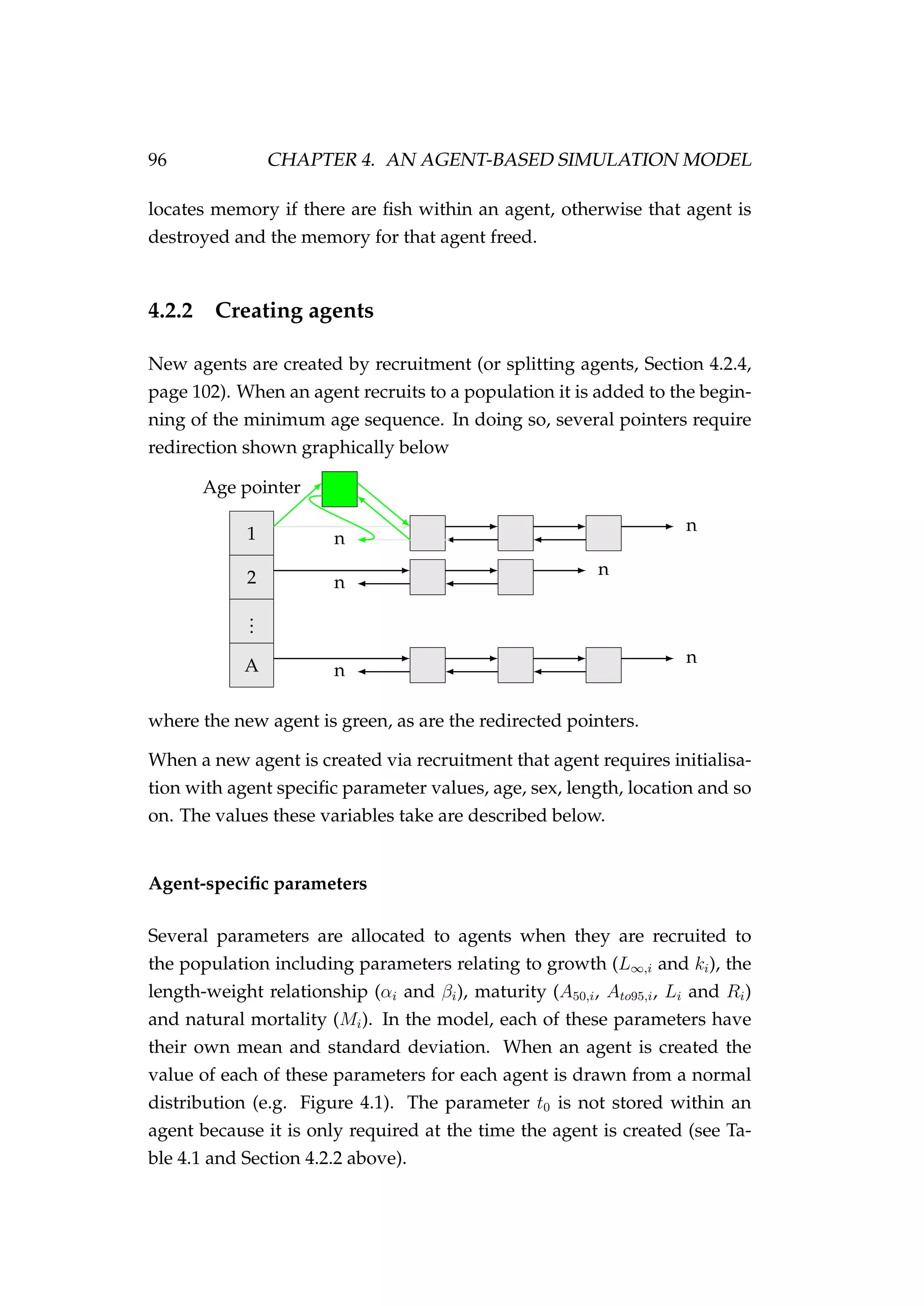 96 CHAPTER 4. AN AGENT-BASED SIMULATION MODEL
locates memory if there are ﬁsh within an agent, otherwise that agent is
destroyed and the memory for that agent freed.
4.2.2 Creating agents
New agents are created by recruitment (or splitting agents, Section 4.2.4,
page 102). When an agent recruits to a population it is added to the begin-
ning of the minimum age sequence. In doing so, several pointers require
redirection shown graphically below
Age pointer
1
2
...
A
n
n
n
n
n
n
where the new agent is green, as are the redirected pointers.
When a new agent is created via recruitment that agent requires initialisa-
tion with agent speciﬁc parameter values, age, sex, length, location and so
on. The values these variables take are described below.
Agent-speciﬁc parameters
Several parameters are allocated to agents when they are recruited to
the population including parameters relating to growth (L∞,i and ki), the
length-weight relationship (αi and βi), maturity (A50,i, Ato95,i, Li and Ri)
and natural mortality (Mi). In the model, each of these parameters have
their own mean and standard deviation. When an agent is created the
value of each of these parameters for each agent is drawn from a normal
distribution (e.g. Figure 4.1). The parameter t0 is not stored within an
agent because it is only required at the time the agent is created (see Ta-
ble 4.1 and Section 4.2.2 above).
 