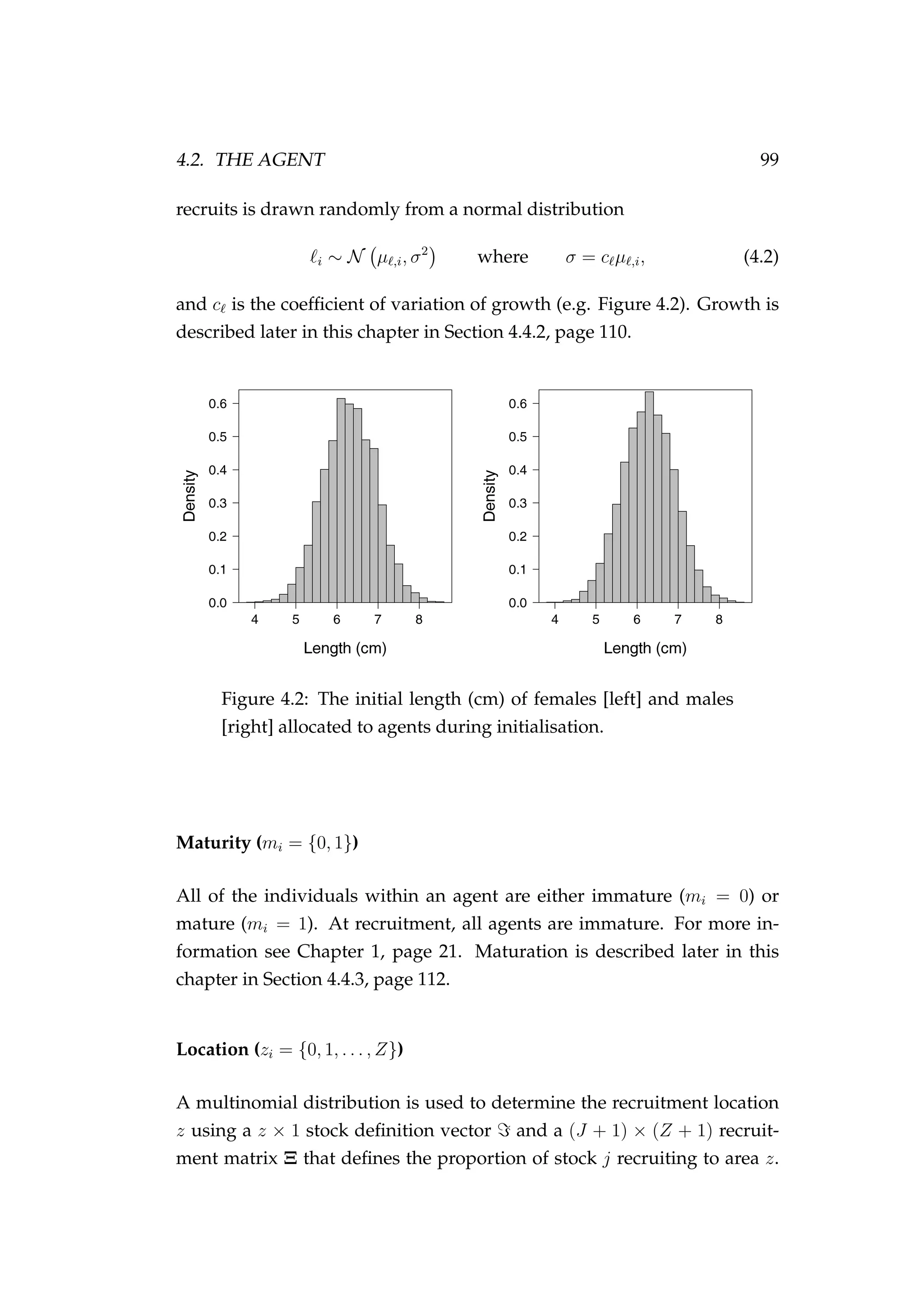 4.2. THE AGENT 99
recruits is drawn randomly from a normal distribution
i ∼ N µ ,i, σ2
where σ = c µ ,i, (4.2)
and c is the coefﬁcient of variation of growth (e.g. Figure 4.2). Growth is
described later in this chapter in Section 4.4.2, page 110.
Figure 4.2: The initial length (cm) of females [left] and males
[right] allocated to agents during initialisation.
Maturity (mi = {0, 1})
All of the individuals within an agent are either immature (mi = 0) or
mature (mi = 1). At recruitment, all agents are immature. For more in-
formation see Chapter 1, page 21. Maturation is described later in this
chapter in Section 4.4.3, page 112.
Location (zi = {0, 1, . . . , Z})
A multinomial distribution is used to determine the recruitment location
z using a z × 1 stock deﬁnition vector and a (J + 1) × (Z + 1) recruit-
ment matrix Ξ that deﬁnes the proportion of stock j recruiting to area z.
 