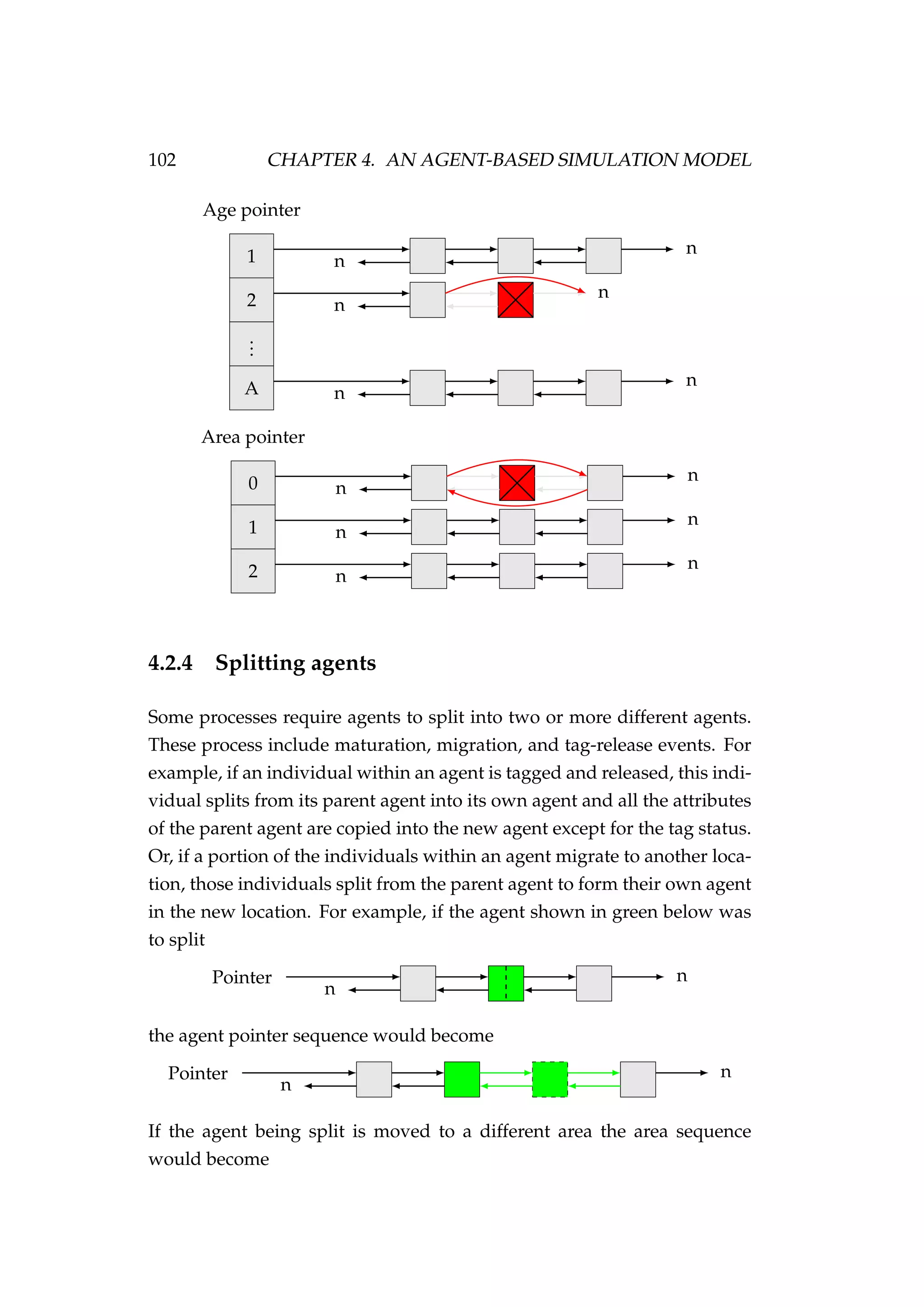 102 CHAPTER 4. AN AGENT-BASED SIMULATION MODEL
Age pointer
1
2
...
A
n
n
n
n
n
n
Area pointer
0
1
2
n
n
n
n
n
n
4.2.4 Splitting agents
Some processes require agents to split into two or more different agents.
These process include maturation, migration, and tag-release events. For
example, if an individual within an agent is tagged and released, this indi-
vidual splits from its parent agent into its own agent and all the attributes
of the parent agent are copied into the new agent except for the tag status.
Or, if a portion of the individuals within an agent migrate to another loca-
tion, those individuals split from the parent agent to form their own agent
in the new location. For example, if the agent shown in green below was
to split
Pointer
n
n
the agent pointer sequence would become
Pointer
n
n
If the agent being split is moved to a different area the area sequence
would become
 