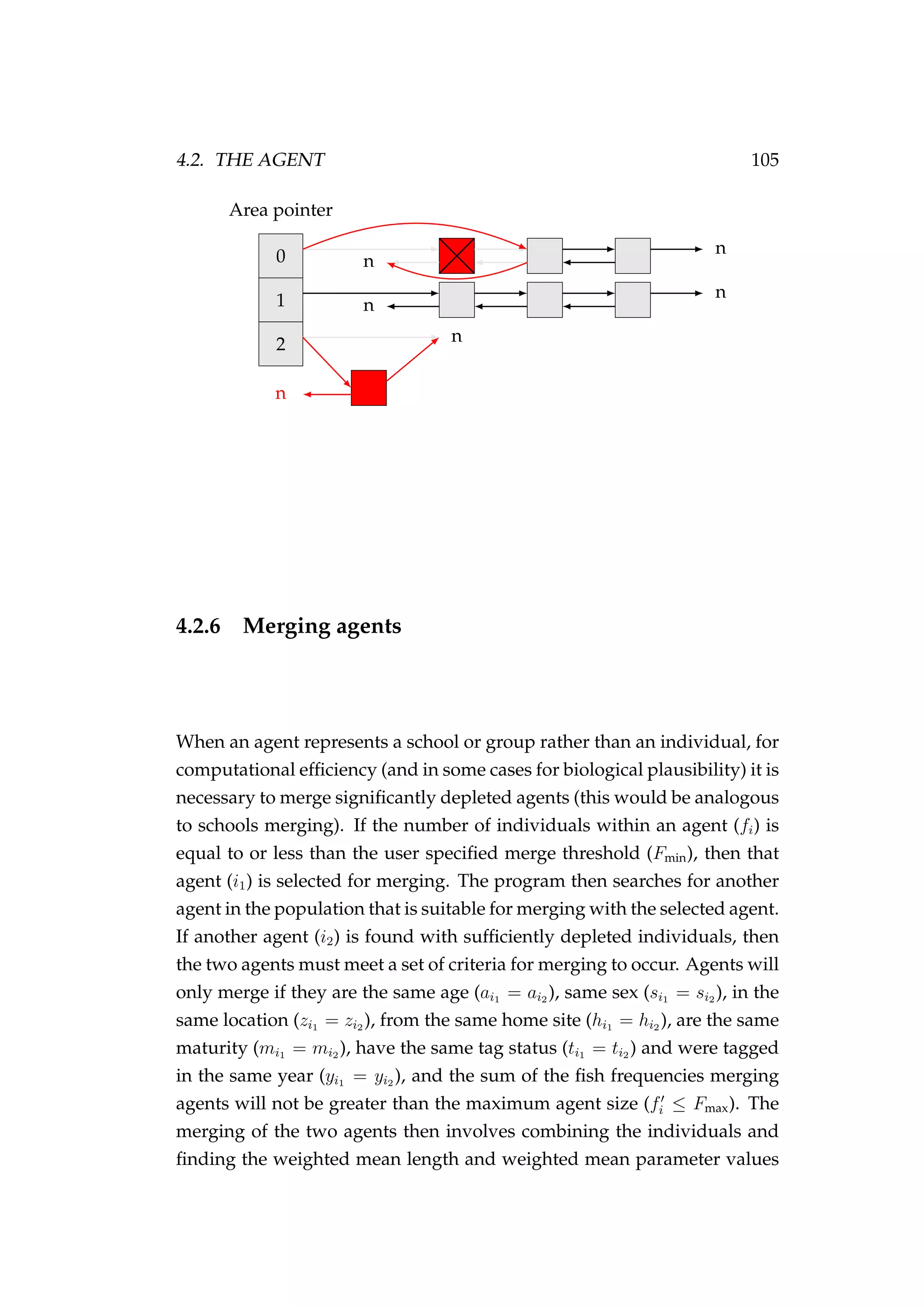 4.2. THE AGENT 105
Area pointer
0
1
2
n
n
n
n
n
n
4.2.6 Merging agents
When an agent represents a school or group rather than an individual, for
computational efﬁciency (and in some cases for biological plausibility) it is
necessary to merge signiﬁcantly depleted agents (this would be analogous
to schools merging). If the number of individuals within an agent (fi) is
equal to or less than the user speciﬁed merge threshold (Fmin), then that
agent (i1) is selected for merging. The program then searches for another
agent in the population that is suitable for merging with the selected agent.
If another agent (i2) is found with sufﬁciently depleted individuals, then
the two agents must meet a set of criteria for merging to occur. Agents will
only merge if they are the same age (ai1 = ai2 ), same sex (si1 = si2 ), in the
same location (zi1 = zi2 ), from the same home site (hi1 = hi2 ), are the same
maturity (mi1 = mi2 ), have the same tag status (ti1 = ti2 ) and were tagged
in the same year (yi1 = yi2 ), and the sum of the ﬁsh frequencies merging
agents will not be greater than the maximum agent size (fi ≤ Fmax). The
merging of the two agents then involves combining the individuals and
ﬁnding the weighted mean length and weighted mean parameter values
 