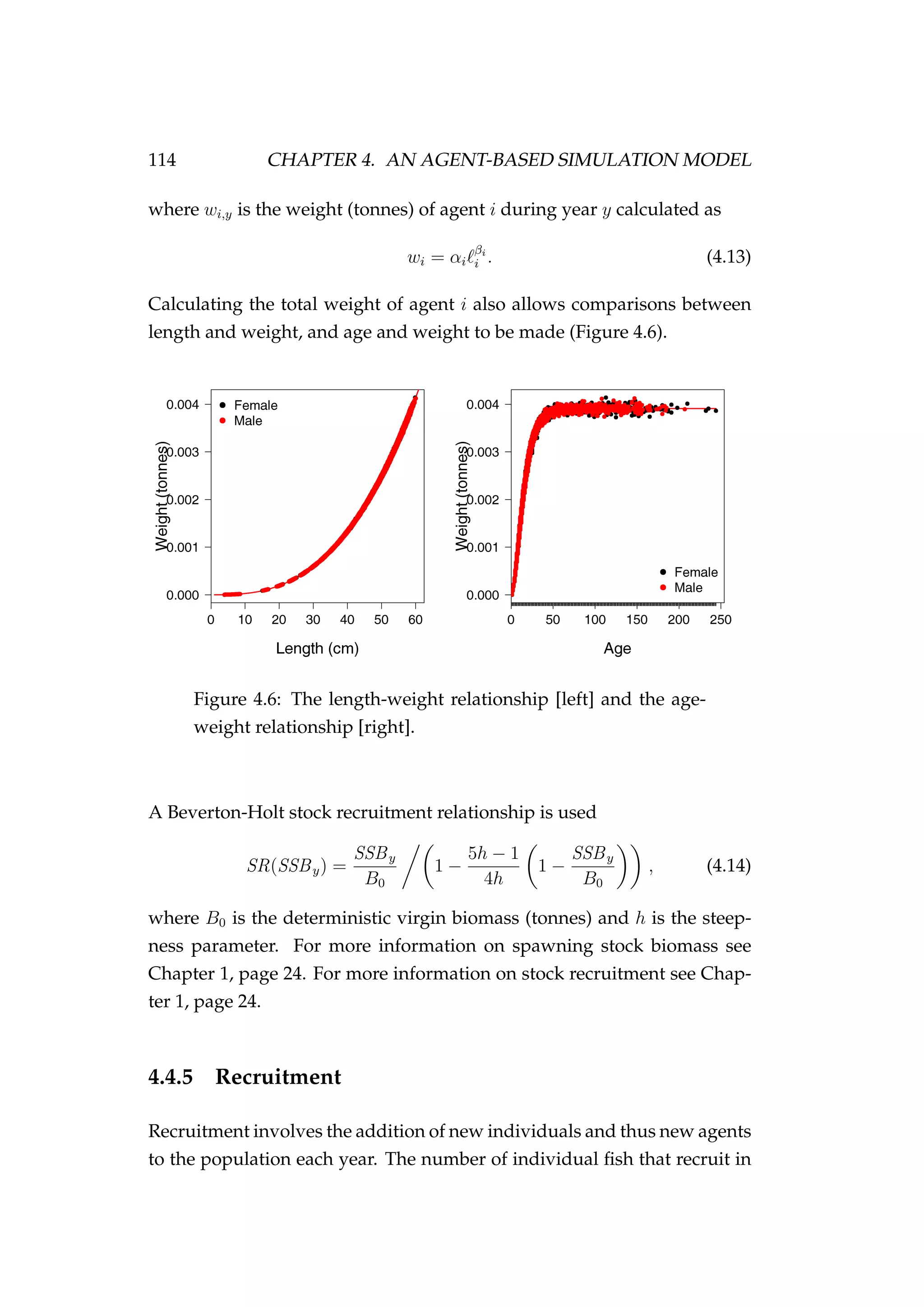 114 CHAPTER 4. AN AGENT-BASED SIMULATION MODEL
where wi,y is the weight (tonnes) of agent i during year y calculated as
wi = αi
βi
i . (4.13)
Calculating the total weight of agent i also allows comparisons between
length and weight, and age and weight to be made (Figure 4.6).
Figure 4.6: The length-weight relationship [left] and the age-
weight relationship [right].
A Beverton-Holt stock recruitment relationship is used
SR(SSBy) =
SSBy
B0
1 −
5h − 1
4h
1 −
SSBy
B0
, (4.14)
where B0 is the deterministic virgin biomass (tonnes) and h is the steep-
ness parameter. For more information on spawning stock biomass see
Chapter 1, page 24. For more information on stock recruitment see Chap-
ter 1, page 24.
4.4.5 Recruitment
Recruitment involves the addition of new individuals and thus new agents
to the population each year. The number of individual ﬁsh that recruit in
 