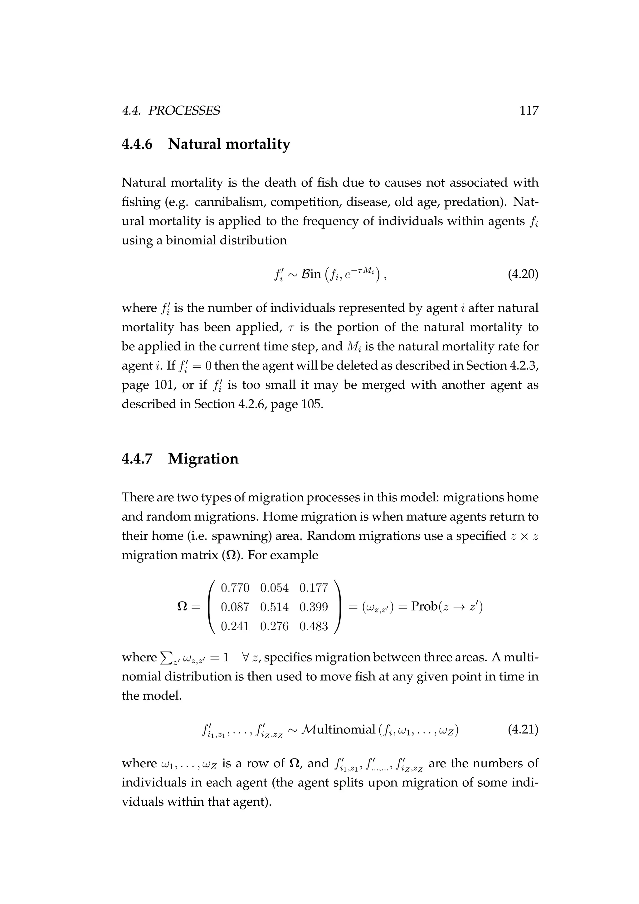 4.4. PROCESSES 117
4.4.6 Natural mortality
Natural mortality is the death of ﬁsh due to causes not associated with
ﬁshing (e.g. cannibalism, competition, disease, old age, predation). Nat-
ural mortality is applied to the frequency of individuals within agents fi
using a binomial distribution
fi ∼ Bin fi, e−τMi
, (4.20)
where fi is the number of individuals represented by agent i after natural
mortality has been applied, τ is the portion of the natural mortality to
be applied in the current time step, and Mi is the natural mortality rate for
agent i. If fi = 0 then the agent will be deleted as described in Section 4.2.3,
page 101, or if fi is too small it may be merged with another agent as
described in Section 4.2.6, page 105.
4.4.7 Migration
There are two types of migration processes in this model: migrations home
and random migrations. Home migration is when mature agents return to
their home (i.e. spawning) area. Random migrations use a speciﬁed z × z
migration matrix (Ω). For example
Ω =



0.770 0.054 0.177
0.087 0.514 0.399
0.241 0.276 0.483


 = (ωz,z ) = Prob(z → z )
where z ωz,z = 1 ∀ z, speciﬁes migration between three areas. A multi-
nomial distribution is then used to move ﬁsh at any given point in time in
the model.
fi1,z1
, . . . , fiZ ,zZ
∼ Multinomial (fi, ω1, . . . , ωZ) (4.21)
where ω1, . . . , ωZ is a row of Ω, and fi1,z1
, f...,..., fiZ ,zZ
are the numbers of
individuals in each agent (the agent splits upon migration of some indi-
viduals within that agent).
 