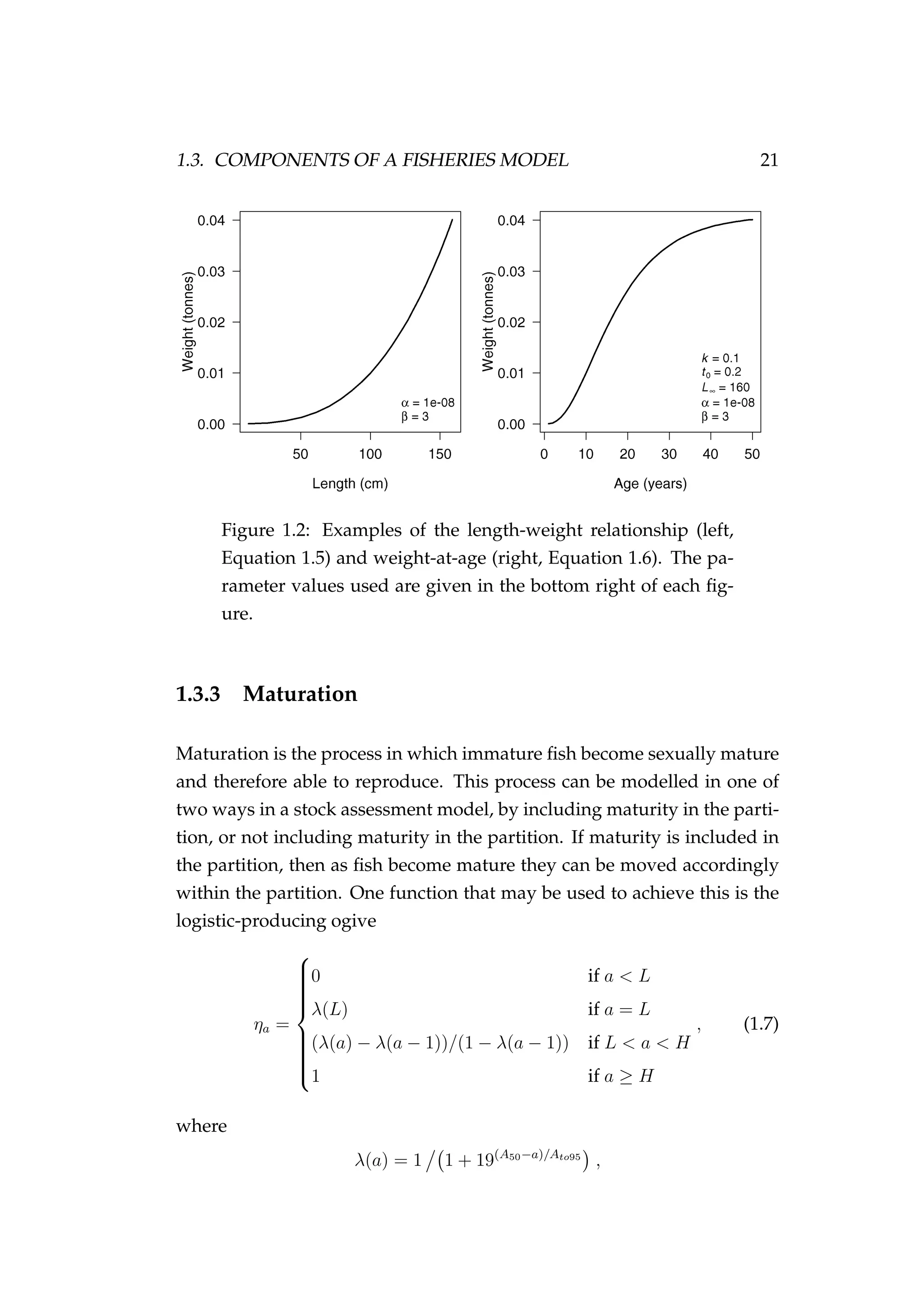 1.3. COMPONENTS OF A FISHERIES MODEL 21
Figure 1.2: Examples of the length-weight relationship (left,
Equation 1.5) and weight-at-age (right, Equation 1.6). The pa-
rameter values used are given in the bottom right of each ﬁg-
ure.
1.3.3 Maturation
Maturation is the process in which immature ﬁsh become sexually mature
and therefore able to reproduce. This process can be modelled in one of
two ways in a stock assessment model, by including maturity in the parti-
tion, or not including maturity in the partition. If maturity is included in
the partition, then as ﬁsh become mature they can be moved accordingly
within the partition. One function that may be used to achieve this is the
logistic-producing ogive
ηa =



0 if a < L
λ(L) if a = L
(λ(a) − λ(a − 1))/(1 − λ(a − 1)) if L < a < H
1 if a ≥ H
, (1.7)
where
λ(a) = 1 1 + 19(A50−a)/Ato95
,
 