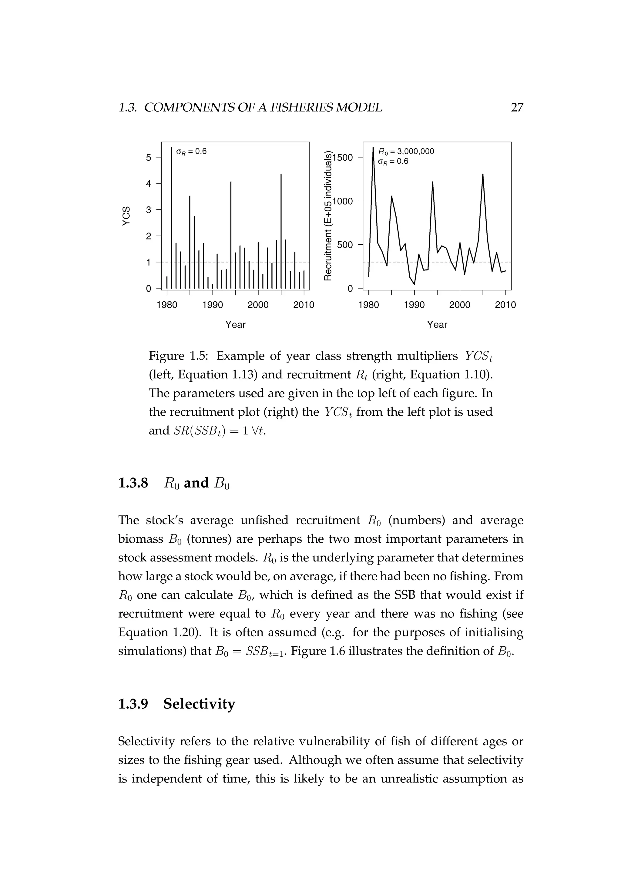 1.3. COMPONENTS OF A FISHERIES MODEL 27
Figure 1.5: Example of year class strength multipliers YCSt
(left, Equation 1.13) and recruitment Rt (right, Equation 1.10).
The parameters used are given in the top left of each ﬁgure. In
the recruitment plot (right) the YCSt from the left plot is used
and SR(SSBt) = 1 ∀t.
1.3.8 R0 and B0
The stock’s average unﬁshed recruitment R0 (numbers) and average
biomass B0 (tonnes) are perhaps the two most important parameters in
stock assessment models. R0 is the underlying parameter that determines
how large a stock would be, on average, if there had been no ﬁshing. From
R0 one can calculate B0, which is deﬁned as the SSB that would exist if
recruitment were equal to R0 every year and there was no ﬁshing (see
Equation 1.20). It is often assumed (e.g. for the purposes of initialising
simulations) that B0 = SSBt=1. Figure 1.6 illustrates the deﬁnition of B0.
1.3.9 Selectivity
Selectivity refers to the relative vulnerability of ﬁsh of different ages or
sizes to the ﬁshing gear used. Although we often assume that selectivity
is independent of time, this is likely to be an unrealistic assumption as
 