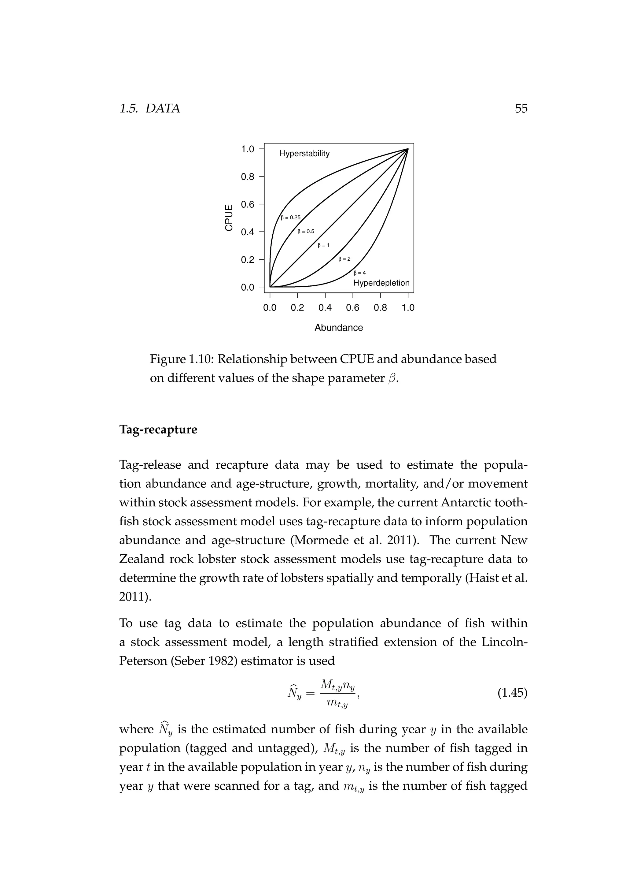1.5. DATA 55
Figure 1.10: Relationship between CPUE and abundance based
on different values of the shape parameter β.
Tag-recapture
Tag-release and recapture data may be used to estimate the popula-
tion abundance and age-structure, growth, mortality, and/or movement
within stock assessment models. For example, the current Antarctic tooth-
ﬁsh stock assessment model uses tag-recapture data to inform population
abundance and age-structure (Mormede et al. 2011). The current New
Zealand rock lobster stock assessment models use tag-recapture data to
determine the growth rate of lobsters spatially and temporally (Haist et al.
2011).
To use tag data to estimate the population abundance of ﬁsh within
a stock assessment model, a length stratiﬁed extension of the Lincoln-
Peterson (Seber 1982) estimator is used
Ny =
Mt,yny
mt,y
, (1.45)
where Ny is the estimated number of ﬁsh during year y in the available
population (tagged and untagged), Mt,y is the number of ﬁsh tagged in
year t in the available population in year y, ny is the number of ﬁsh during
year y that were scanned for a tag, and mt,y is the number of ﬁsh tagged
 