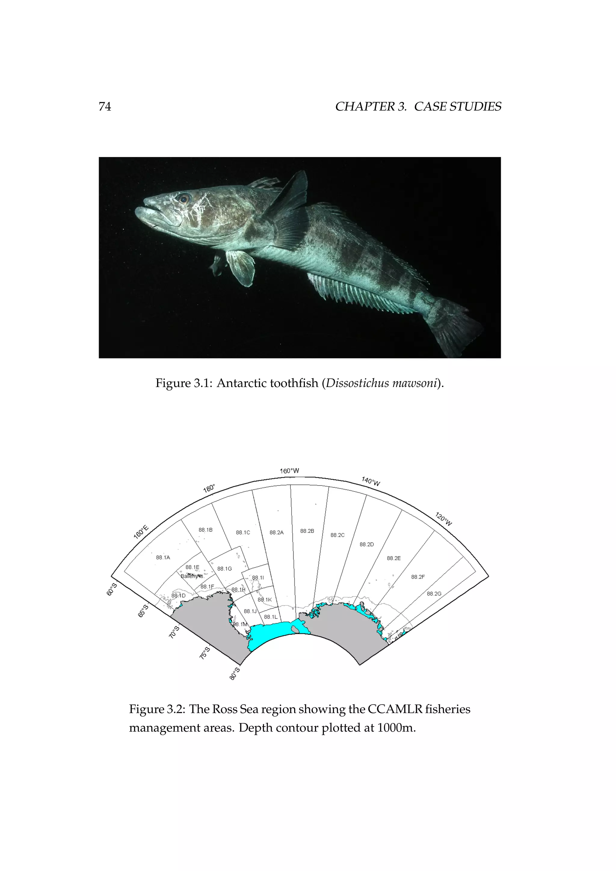74 CHAPTER 3. CASE STUDIES
Figure 3.1: Antarctic toothﬁsh (Dissostichus mawsoni).
Figure 3.2: The Ross Sea region showing the CCAMLR ﬁsheries
management areas. Depth contour plotted at 1000m.
 