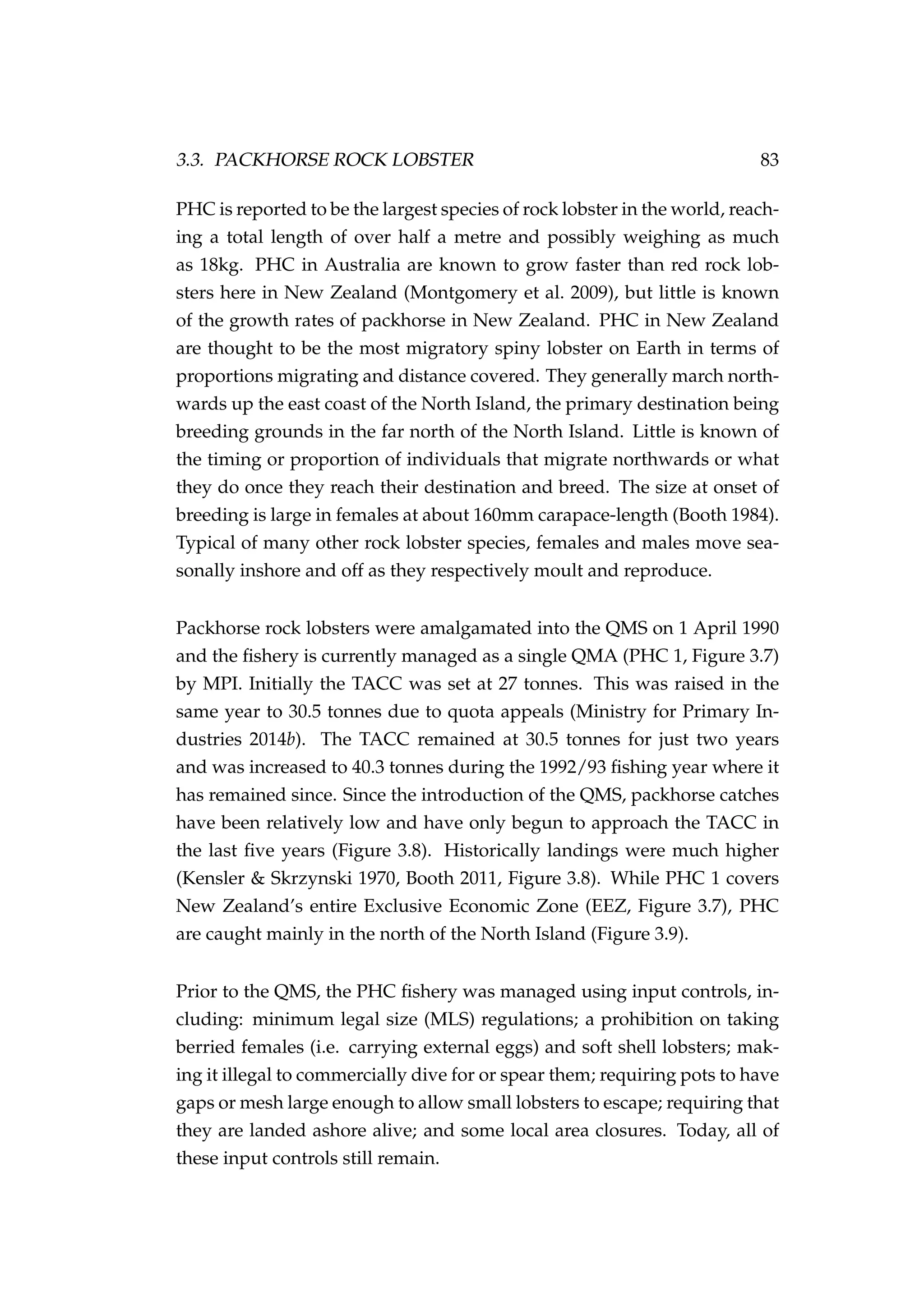 3.3. PACKHORSE ROCK LOBSTER 83
PHC is reported to be the largest species of rock lobster in the world, reach-
ing a total length of over half a metre and possibly weighing as much
as 18kg. PHC in Australia are known to grow faster than red rock lob-
sters here in New Zealand (Montgomery et al. 2009), but little is known
of the growth rates of packhorse in New Zealand. PHC in New Zealand
are thought to be the most migratory spiny lobster on Earth in terms of
proportions migrating and distance covered. They generally march north-
wards up the east coast of the North Island, the primary destination being
breeding grounds in the far north of the North Island. Little is known of
the timing or proportion of individuals that migrate northwards or what
they do once they reach their destination and breed. The size at onset of
breeding is large in females at about 160mm carapace-length (Booth 1984).
Typical of many other rock lobster species, females and males move sea-
sonally inshore and off as they respectively moult and reproduce.
Packhorse rock lobsters were amalgamated into the QMS on 1 April 1990
and the ﬁshery is currently managed as a single QMA (PHC 1, Figure 3.7)
by MPI. Initially the TACC was set at 27 tonnes. This was raised in the
same year to 30.5 tonnes due to quota appeals (Ministry for Primary In-
dustries 2014b). The TACC remained at 30.5 tonnes for just two years
and was increased to 40.3 tonnes during the 1992/93 ﬁshing year where it
has remained since. Since the introduction of the QMS, packhorse catches
have been relatively low and have only begun to approach the TACC in
the last ﬁve years (Figure 3.8). Historically landings were much higher
(Kensler & Skrzynski 1970, Booth 2011, Figure 3.8). While PHC 1 covers
New Zealand’s entire Exclusive Economic Zone (EEZ, Figure 3.7), PHC
are caught mainly in the north of the North Island (Figure 3.9).
Prior to the QMS, the PHC ﬁshery was managed using input controls, in-
cluding: minimum legal size (MLS) regulations; a prohibition on taking
berried females (i.e. carrying external eggs) and soft shell lobsters; mak-
ing it illegal to commercially dive for or spear them; requiring pots to have
gaps or mesh large enough to allow small lobsters to escape; requiring that
they are landed ashore alive; and some local area closures. Today, all of
these input controls still remain.
 