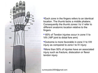 extensor tendons injury and deformity | PPT