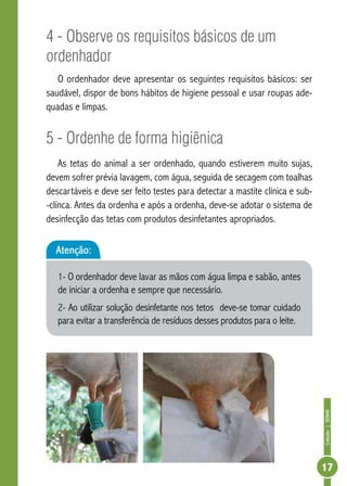 Coleção | SENAR 
17 
4 - Observe os requisitos básicos de um 
ordenhador 
O ordenhador deve apresentar os seguintes requisitos básicos: ser 
saudável, dispor de bons hábitos de hig iene pessoal e usar roupas ade-quadas 
e limpas. 
5 - Ordenhe de forma higiênica 
As tetas do animal a ser ordenhado, quando estiverem muito sujas, 
devem sofrer prévia lavagem, com água, seguida de secagem com toalhas 
descartáveis e deve ser feito testes para detectar a mastite clínica e sub- 
-clínca. Antes da ordenha e após a ordenha, deve-se adotar o sistema de 
desinfecção das tetas com produtos desinfetantes apropriados. 
Atenção: 
1- O ordenhador deve lavar as mãos com água limpa e sabão, antes 
de iniciar a ordenha e sempre que necessário. 
2- Ao utilizar solução desinfetante nos tetos deve-se tomar cuidado 
para evitar a transferência de resíduos desses produtos para o leite. 
 