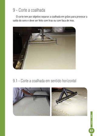 Coleção | SENAR 
57 
9 - Corte a coalhada 
O corte tem por objetivo separar a coalhada em grãos para provocar a 
saída do soro e deve ser feito com liras ou com faca de inox. 
9.1 - Corte a coalhada em sentido horizontal 
 