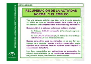 CONSEJERÍA DE AGRIGULTURA, PESCA Y DESARROLLO RURAL

CONCLUSIONES
CONCLUSIONES

RECUPERACIÓN DE LA ACTIVIDAD
NORMAL Y EL EMPLEO
Tras una campaña anterior muy baja, en la presente campaña
2013/2014, se prevé un restablecimiento de la producción y el
desarrollo de una campaña normal de recolección y molturación.
Recuperación de la actividad y el empleo (datos de empleo)
En Andalucía 23.500.000 jornales/año (40% del empleo agrario) y
814 almazaras
En Jaén 6.758.150 jornales/año (35,2 % del total del olivar andaluz) y
328 almazaras (40 % de almazaras andaluzas)

Buenas perspectivas para los mercados en los que hay que
trabajar para implantar buenas practicas comerciales, mayor
comerciales
equilibrio en la cadena de valor del aceite de oliva e impulsar la
concentración de la oferta.
Los datos presentados son estimaciones de producción. La
cosecha final dependerá de las condiciones meteorológicas de
los próximos meses y del desarrollo de la campaña.

 