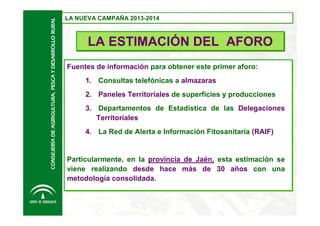 CONSEJERÍA DE AGRIGULTURA, PESCA Y DESARROLLO RURAL

LA NUEVA CAMPAÑA 2013-2014
LA NUEVA CAMPAÑA 2013-2014

LA ESTIMACIÓN DEL AFORO
Fuentes de información para obtener este primer aforo:
1. Consultas telefónicas a almazaras
2. Paneles Territoriales de superficies y producciones
3. Departamentos de Estadística de las Delegaciones
Territoriales
4. La Red de Alerta e Información Fitosanitaria (RAIF)

Particularmente, en la provincia de Jaén, esta estimación se
viene realizando desde hace más de 30 años con una
metodología consolidada.

 
