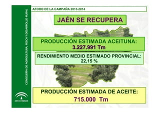 CONSEJERÍA DE AGRIGULTURA, PESCA Y DESARROLLO RURAL

AFORO DE LA CAMPAÑA 2013-2014
AFORO DE LA CAMPAÑA 2013-2014

JAÉN SE RECUPERA
PRODUCCIÓN ESTIMADA ACEITUNA:
3.227.991 Tm
RENDIMIENTO MEDIO ESTIMADO PROVINCIAL:
22,15 %

PRODUCCIÓN ESTIMADA DE ACEITE:

715.000 Tm

 