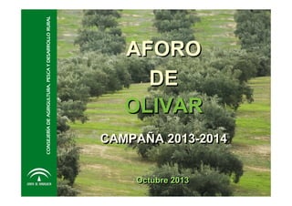 CONSEJERÍA DE AGRIGULTURA, PESCA Y DESARROLLO RURAL

AFORO
DE
OLIVAR

CAMPAÑA 2013-2014
Octubre 2013

 