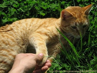 The Future Is Ruby Without Rails