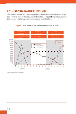 1.3	 HISTORIA NATURAL DEL VIH
En la historia natural de la infección por el VIH se diferencian tres etapas: infección primaria, latencia clínica y fase sintomática. La Figura 1 ilustra la evolución
de la viremia y de la respuesta inmunológica en dichas fases.

Figura 1. Historia natural de la infección por el VIH
HISTORIA NATURAL DE LA INFECCION POR VIH
LATENCIA
CLÍNICA

FASE
SINTOMÁTICA

ASINTOMÁTICO

INFECCIONES
OPORTUNISTAS

INFECCIÓN
PRIMARIA
SÍNDROME RETROVIRAL
AGUDO

1200
1100
1000
900
800
700
600
500
400
300
200
100
0

SIDA
VIREMIA
LINFOCITOS CD4

ANTICUERPOS

0

3

6

9

Semanas
Fuente: Modificado por Pallela et al.2

2	

14

12

1

2

3

4

5

6

7

AÑOS

8

9

10

11

12

 
