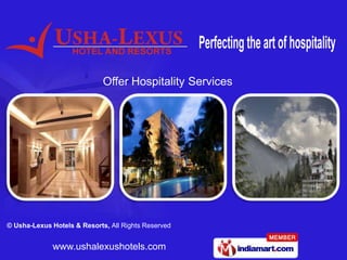 Offer Hospitality Services




© Usha-Lexus Hotels & Resorts, All Rights Reserved


             www.ushalexushotels.com
 