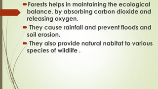 Forests helps in maintaining the ecological
balance, by absorbing carbon dioxide and
releasing oxygen.
 They cause rainfall and prevent floods and
soil erosion.
 They also provide natural nabitat to various
species of wildlife .
 