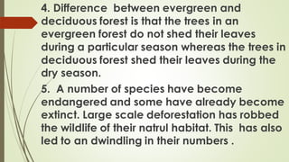 4. Difference between evergreen and
deciduous forest is that the trees in an
evergreen forest do not shed their leaves
during a particular season whereas the trees in
deciduous forest shed their leaves during the
dry season.
5. A number of species have become
endangered and some have already become
extinct. Large scale deforestation has robbed
the wildlife of their natrul habitat. This has also
led to an dwindling in their numbers .
 