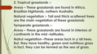 2. Tropical grasslands :-
Areas – These grasslands are found in Africa,
Brazilian highlands, nothern Australia.
Natural vegetation :- Tall and thick scattered trees
are the main vegetation of these grasslands
Temperate grasslands :-
Areas – These grasslands are found in interiors of
continents in the mid –latitudes.
Natrul vegetation –These areas lack in y’all trees.
But, they have healthy, green and nutritious grass
in fact, they can be termed as the sea of grass.
 