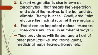 3. Desert vegetation is also known as
xerophytes , that means the vegetation
and adapt themselves to the hot and dry
climate. Thorny bushes , Cacti, date Palm,
etc. are the main shrubs of these regions.
4. Forest are an important natural resource.
They are useful to us in number of ways :-
 They provide us with timber and a host of
other products like lac, resins, gums,
medicinal herbs, leaves, honey, etc.
 