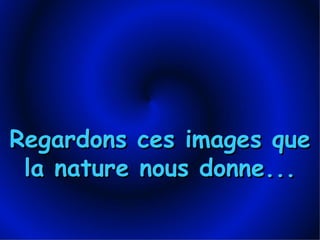 Regardons ces images que la nature nous donne... 