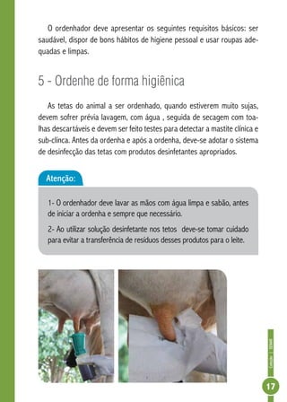 Coleção | SENAR 
17 
O ordenhador deve apresentar os seguintes requisitos básicos: ser 
saudável, dispor de bons hábitos de higiene pessoal e usar roupas ade-quadas 
e limpas. 
5 - Ordenhe de forma higiênica 
As tetas do animal a ser ordenhado, quando estiverem muito sujas, 
devem sofrer prévia lavagem, com água , seguida de secagem com toa-lhas 
descartáveis e devem ser feito testes para detectar a mastite clínica e 
sub-clínca. Antes da ordenha e após a ordenha, deve-se adotar o sistema 
de desinfecção das tetas com produtos desinfetantes apropriados. 
Atenção: 
1- O ordenhador deve lavar as mãos com água limpa e sabão, antes 
de iniciar a ordenha e sempre que necessário. 
2- Ao utilizar solução desinfetante nos tetos deve-se tomar cuidado 
para evitar a transferência de resíduos desses produtos para o leite. 
 