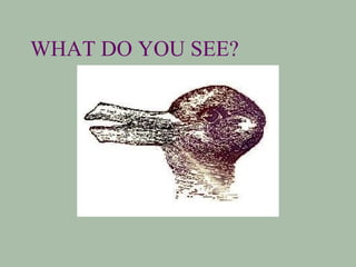 WHAT DO YOU SEE? 