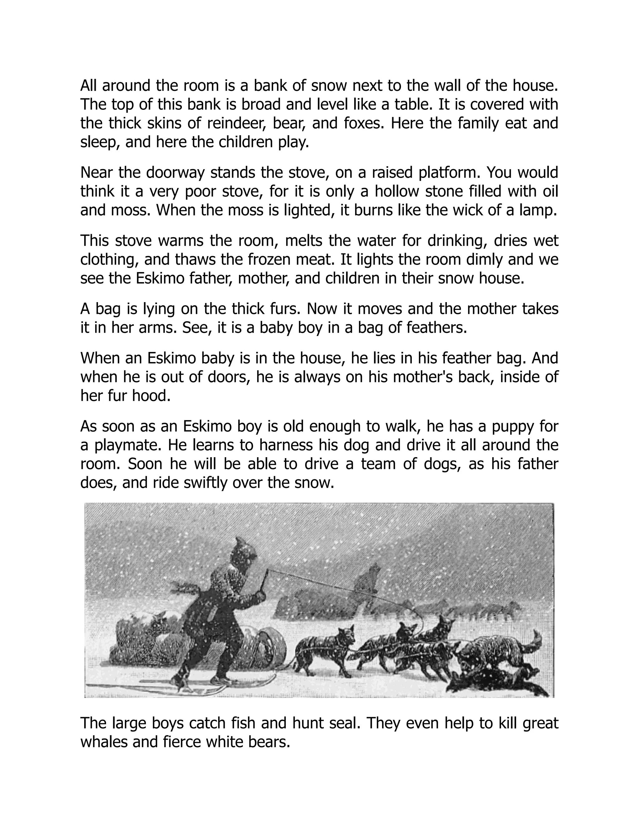 All around the room is a bank of snow next to the wall of the house.
The top of this bank is broad and level like a table. It is covered with
the thick skins of reindeer, bear, and foxes. Here the family eat and
sleep, and here the children play.
Near the doorway stands the stove, on a raised platform. You would
think it a very poor stove, for it is only a hollow stone filled with oil
and moss. When the moss is lighted, it burns like the wick of a lamp.
This stove warms the room, melts the water for drinking, dries wet
clothing, and thaws the frozen meat. It lights the room dimly and we
see the Eskimo father, mother, and children in their snow house.
A bag is lying on the thick furs. Now it moves and the mother takes
it in her arms. See, it is a baby boy in a bag of feathers.
When an Eskimo baby is in the house, he lies in his feather bag. And
when he is out of doors, he is always on his mother's back, inside of
her fur hood.
As soon as an Eskimo boy is old enough to walk, he has a puppy for
a playmate. He learns to harness his dog and drive it all around the
room. Soon he will be able to drive a team of dogs, as his father
does, and ride swiftly over the snow.
The large boys catch fish and hunt seal. They even help to kill great
whales and fierce white bears.
 