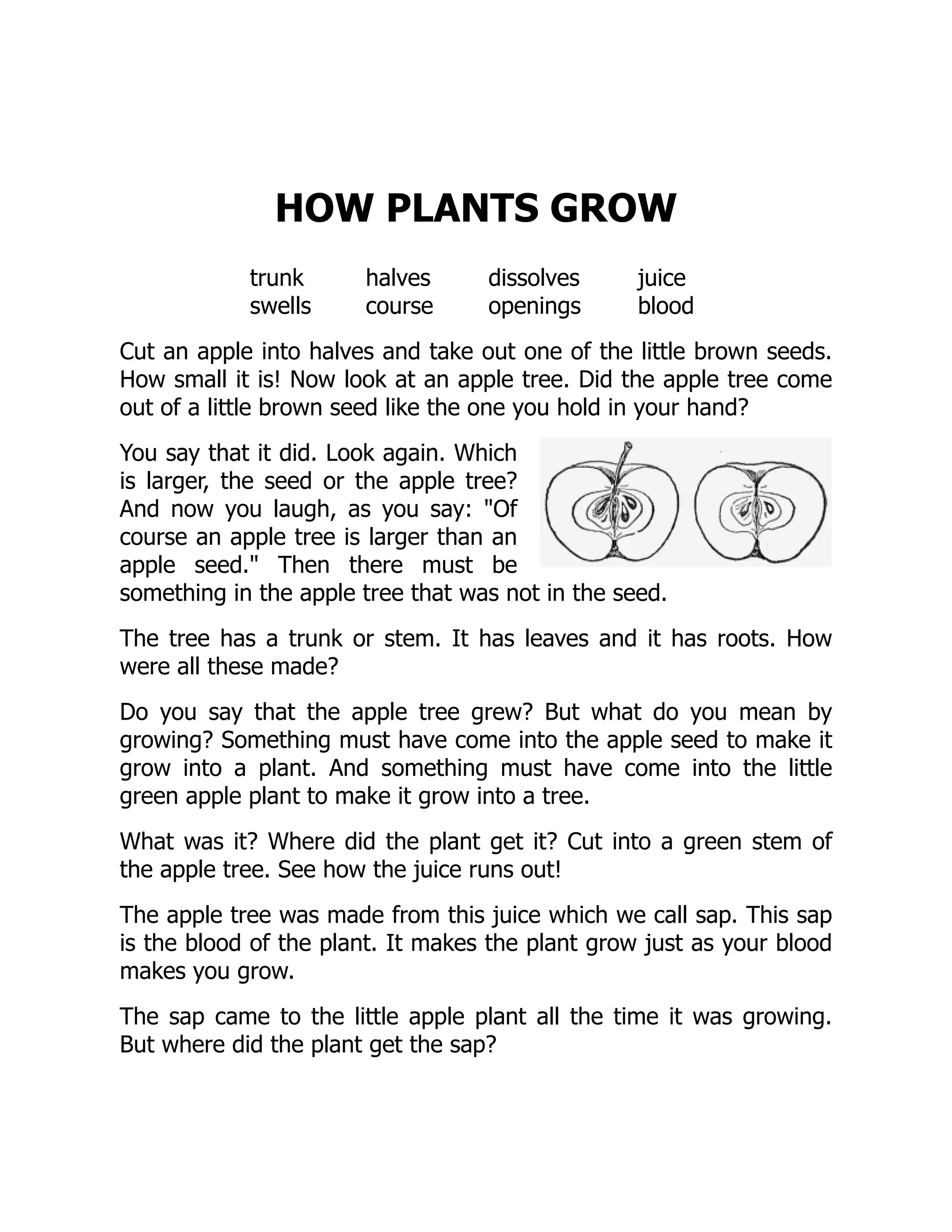 HOW PLANTS GROW
trunk halves dissolves juice
swells course openings blood
Cut an apple into halves and take out one of the little brown seeds.
How small it is! Now look at an apple tree. Did the apple tree come
out of a little brown seed like the one you hold in your hand?
You say that it did. Look again. Which
is larger, the seed or the apple tree?
And now you laugh, as you say: "Of
course an apple tree is larger than an
apple seed." Then there must be
something in the apple tree that was not in the seed.
The tree has a trunk or stem. It has leaves and it has roots. How
were all these made?
Do you say that the apple tree grew? But what do you mean by
growing? Something must have come into the apple seed to make it
grow into a plant. And something must have come into the little
green apple plant to make it grow into a tree.
What was it? Where did the plant get it? Cut into a green stem of
the apple tree. See how the juice runs out!
The apple tree was made from this juice which we call sap. This sap
is the blood of the plant. It makes the plant grow just as your blood
makes you grow.
The sap came to the little apple plant all the time it was growing.
But where did the plant get the sap?
 