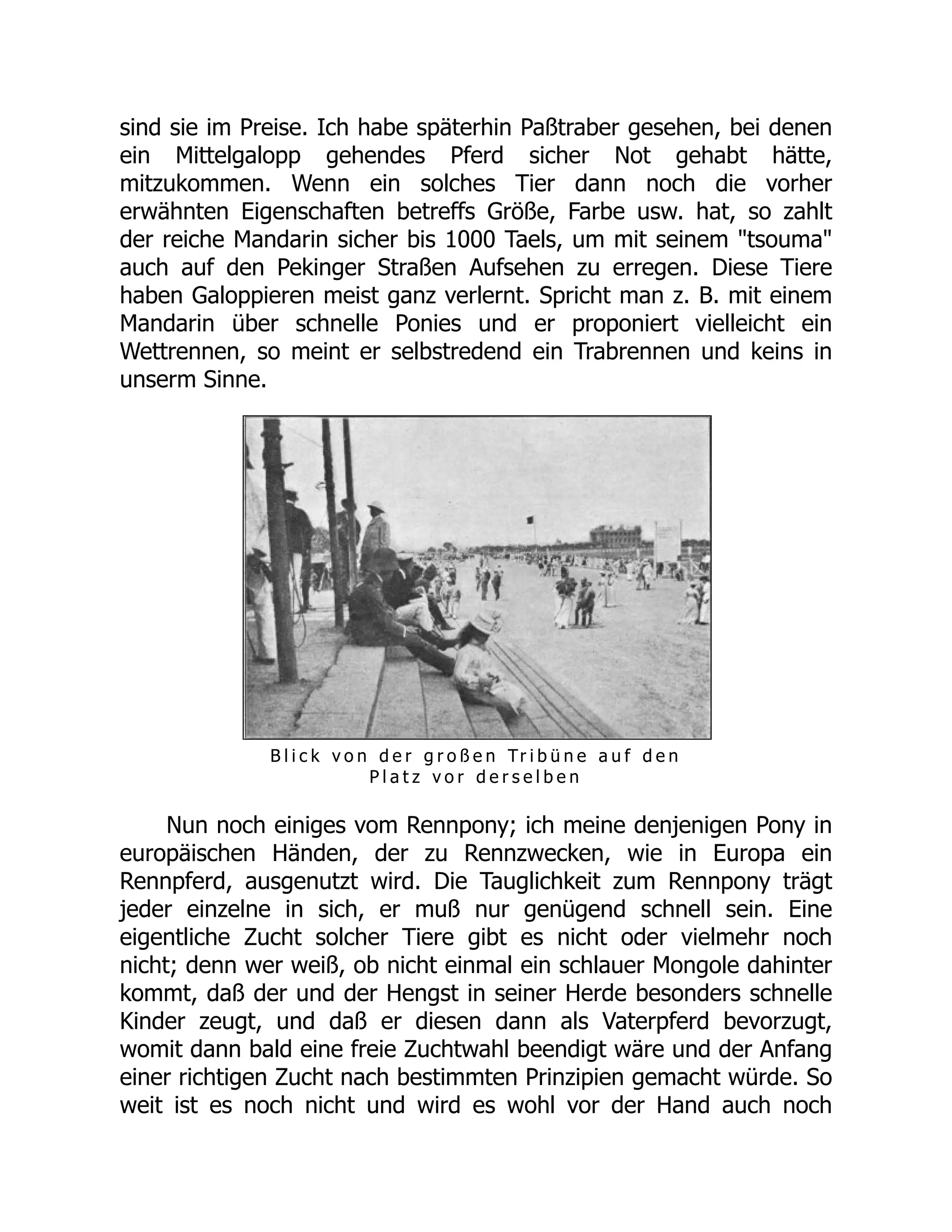 sind sie im Preise. Ich habe späterhin Paßtraber gesehen, bei denen
ein Mittelgalopp gehendes Pferd sicher Not gehabt hätte,
mitzukommen. Wenn ein solches Tier dann noch die vorher
erwähnten Eigenschaften betreffs Größe, Farbe usw. hat, so zahlt
der reiche Mandarin sicher bis 1000 Taels, um mit seinem "tsouma"
auch auf den Pekinger Straßen Aufsehen zu erregen. Diese Tiere
haben Galoppieren meist ganz verlernt. Spricht man z. B. mit einem
Mandarin über schnelle Ponies und er proponiert vielleicht ein
Wettrennen, so meint er selbstredend ein Trabrennen und keins in
unserm Sinne.
B l i c k v o n d e r g r o ß e n Tr i b ü n e a u f d e n
P l a t z v o r d e r s e l b e n
Nun noch einiges vom Rennpony; ich meine denjenigen Pony in
europäischen Händen, der zu Rennzwecken, wie in Europa ein
Rennpferd, ausgenutzt wird. Die Tauglichkeit zum Rennpony trägt
jeder einzelne in sich, er muß nur genügend schnell sein. Eine
eigentliche Zucht solcher Tiere gibt es nicht oder vielmehr noch
nicht; denn wer weiß, ob nicht einmal ein schlauer Mongole dahinter
kommt, daß der und der Hengst in seiner Herde besonders schnelle
Kinder zeugt, und daß er diesen dann als Vaterpferd bevorzugt,
womit dann bald eine freie Zuchtwahl beendigt wäre und der Anfang
einer richtigen Zucht nach bestimmten Prinzipien gemacht würde. So
weit ist es noch nicht und wird es wohl vor der Hand auch noch
 