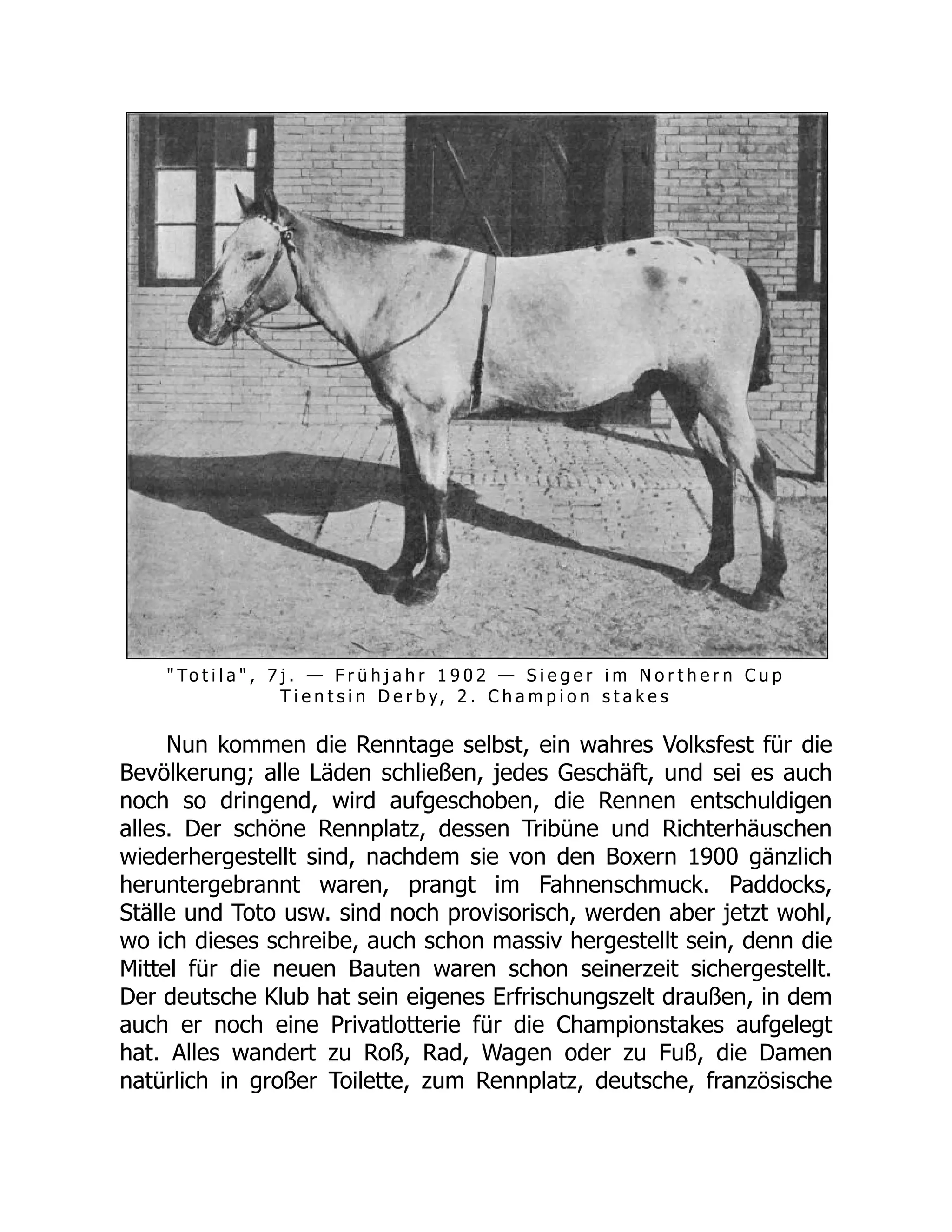 " To t i l a " , 7 j . — F r ü h j a h r 1 9 0 2 — S i e g e r i m N o r t h e r n C u p
T i e n t s i n D e r b y, 2 . C h a m p i o n s t a k e s
Nun kommen die Renntage selbst, ein wahres Volksfest für die
Bevölkerung; alle Läden schließen, jedes Geschäft, und sei es auch
noch so dringend, wird aufgeschoben, die Rennen entschuldigen
alles. Der schöne Rennplatz, dessen Tribüne und Richterhäuschen
wiederhergestellt sind, nachdem sie von den Boxern 1900 gänzlich
heruntergebrannt waren, prangt im Fahnenschmuck. Paddocks,
Ställe und Toto usw. sind noch provisorisch, werden aber jetzt wohl,
wo ich dieses schreibe, auch schon massiv hergestellt sein, denn die
Mittel für die neuen Bauten waren schon seinerzeit sichergestellt.
Der deutsche Klub hat sein eigenes Erfrischungszelt draußen, in dem
auch er noch eine Privatlotterie für die Championstakes aufgelegt
hat. Alles wandert zu Roß, Rad, Wagen oder zu Fuß, die Damen
natürlich in großer Toilette, zum Rennplatz, deutsche, französische
 
