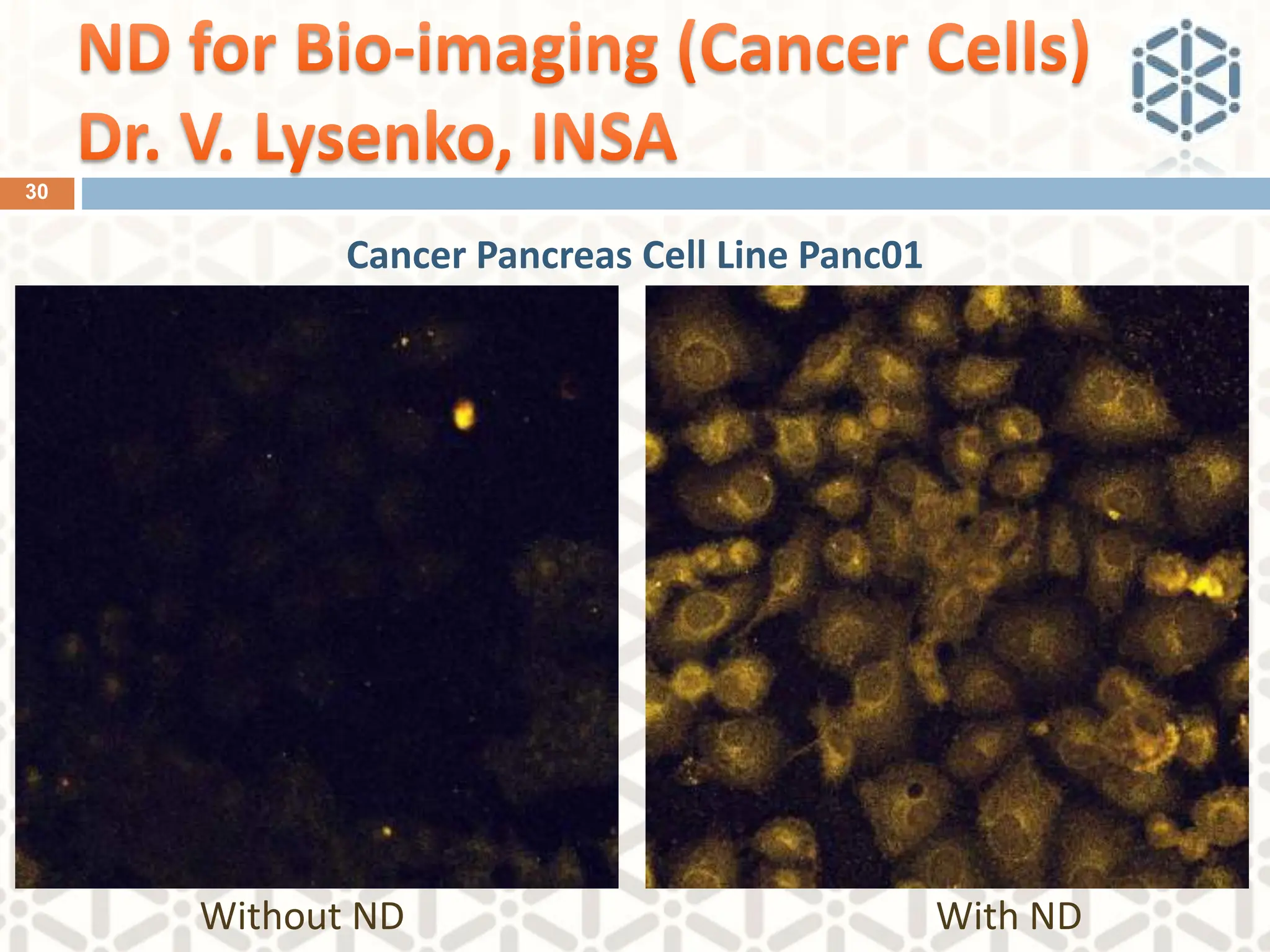 Without ND With ND
Cancer Pancreas Cell Line Panc01
30
 