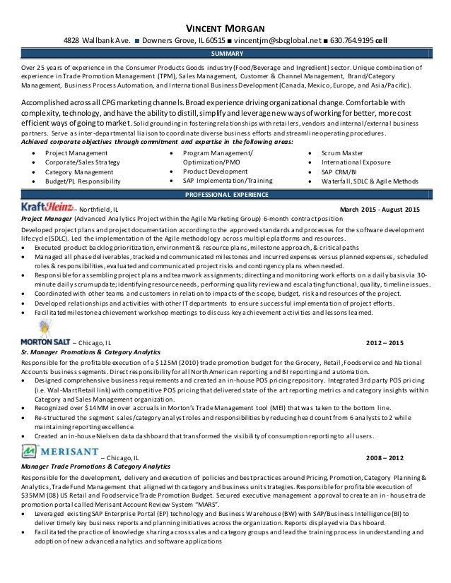 resume vincent g duffy phd