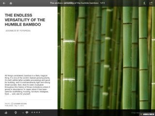The Endless Versatility of the Humble Bamboo